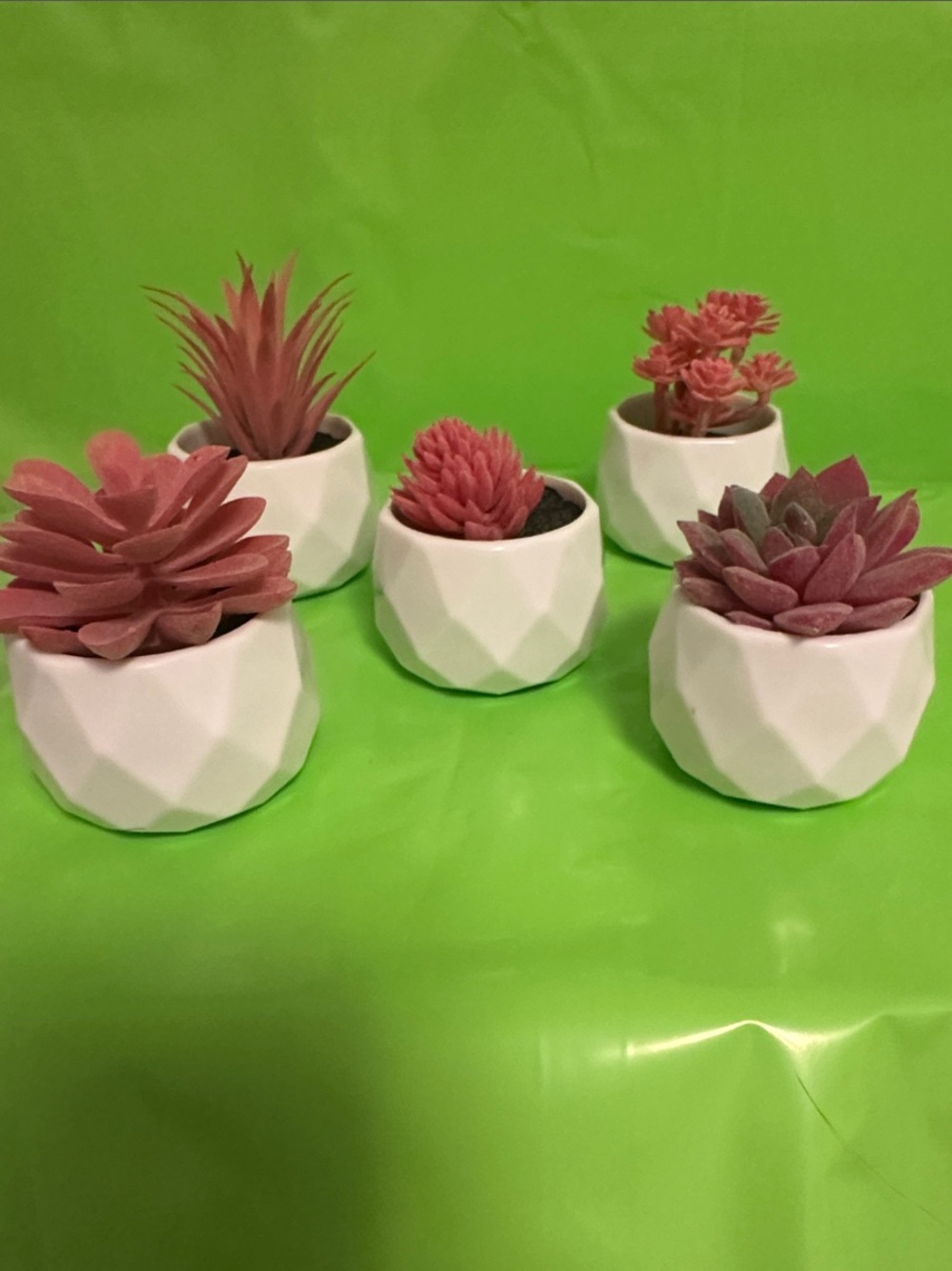 White Geometric Ceramic Planter Set with Pink Succulents - Home Accents